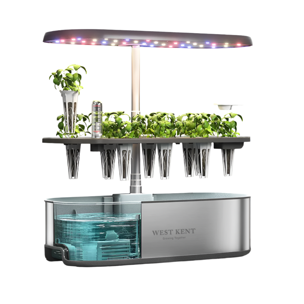 Cutaway of the 12 pod smart garden showing seedlings, water tank and LED light