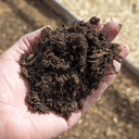 A close-up of a hand holding Dandy's Compost AutumnMix Garden Mulch, showing its rich, dark texture with a garden bed and soil softly blurred in the background.