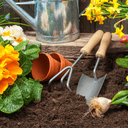 Dandy's SummerMix Compost & Garden Mulch | Moisture-Retention Mulch