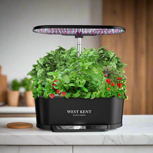 15 pod smart garden pro in black, full of herbs and tomatoes on a kitchen worktop