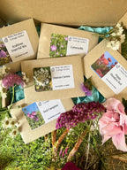 The Meadow Flower Collection by Bishy Barnabees Cottage Garden features wildflower seeds like Scabious Imperial Mix, Corncockle, Daucus Carota, Red Campion, and Poppy with pink and purple blooms for a beautiful nature-themed display.