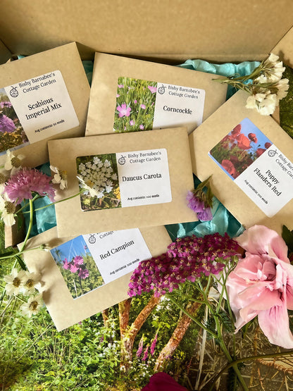 The Meadow Flower Collection with Corncockle, Red Campion, Scabious Imperial Mix, and Daucus Carota seed packets displayed on a flower bed.