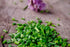 Chopped green chives on a wooden surface with purple flowers in the background