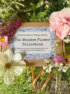A box labeled "The Meadow Flower Collection" by Bishy Barnabees Cottage Garden sits amid colorful native flowers and wildflower seeds, with a garden in the background.