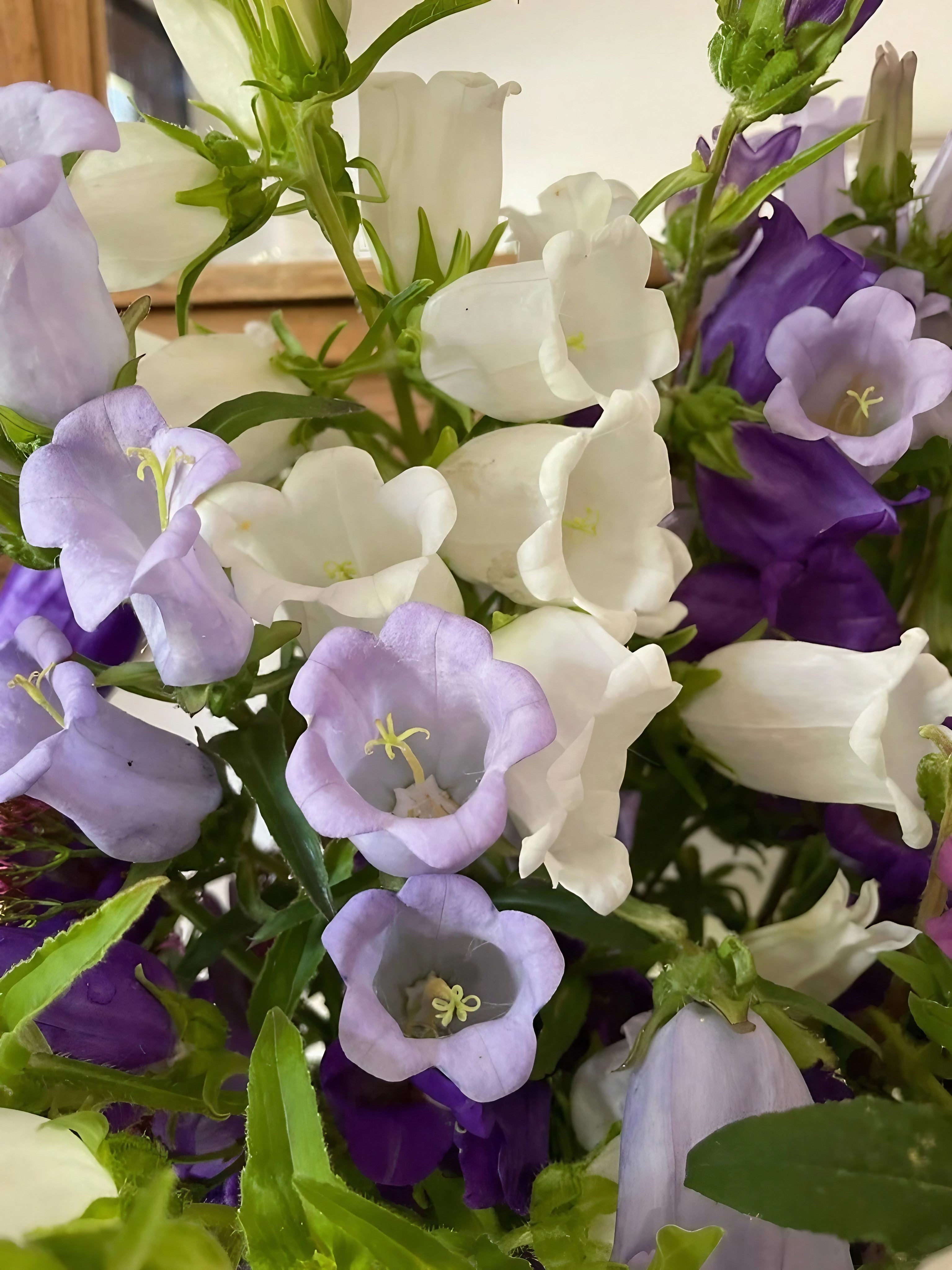 Ornate vase holding a bouquet of purple and white Canterbury Bells flowers