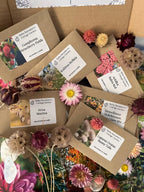 A flat lay of "Flowers to Grow - Perfect for Drying" seed packets by Bishy Barnabees Cottage Garden, surrounded by everlasting flowers in pink, purple, and cream, plus floral cards—all beautifully arranged on a wooden surface.