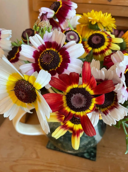 A centerpiece vase brimming with a mix of colorful Chrysanthemum Painted Daisy flowers