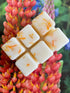 Summer Days Botanical Wax Melt Bar with tropical scents, featuring creamy coconut and fruity notes on a floral background.