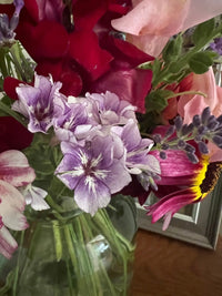 A close-up of Phlox Sugar Stars by Bishy Barnabees Cottage Garden, showing star-shaped violet-blue blooms with red, pink, and yellow flowers in a glass vase with green stems indoors and a softly blurred background.