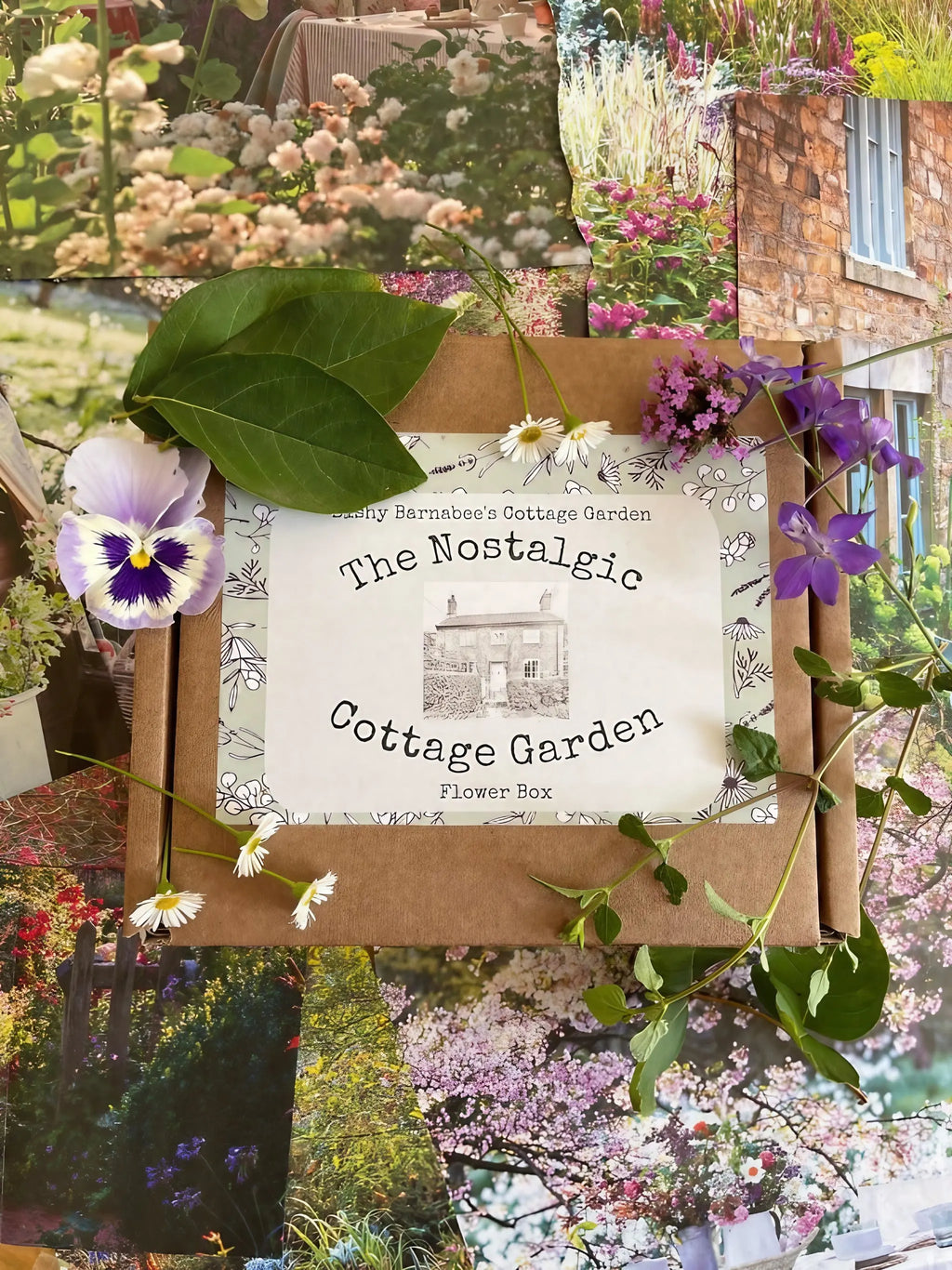 The Nostalgic Cottage Garden Flower Box - 12 Packs by Bishy Barnabees Cottage Garden sits on floral postcards, decorated with assorted flowers and leaves. The label shows a cottage, hinting at heritage British garden flower seeds inside.