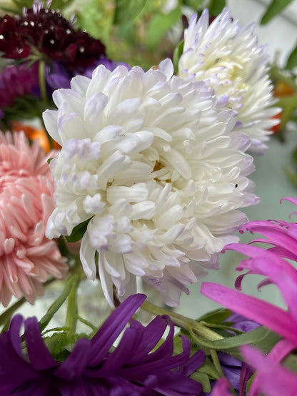 Tabletop display of a vase with white and purple Aster Duchess flowers