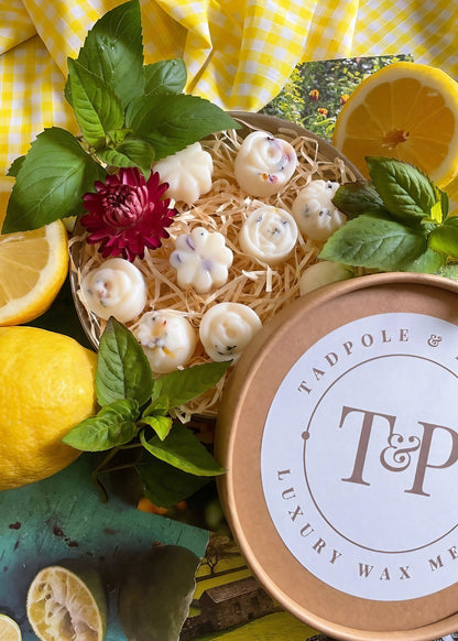 Refresh &amp; Focus Pure Essential Oil Botanical Wax Melts