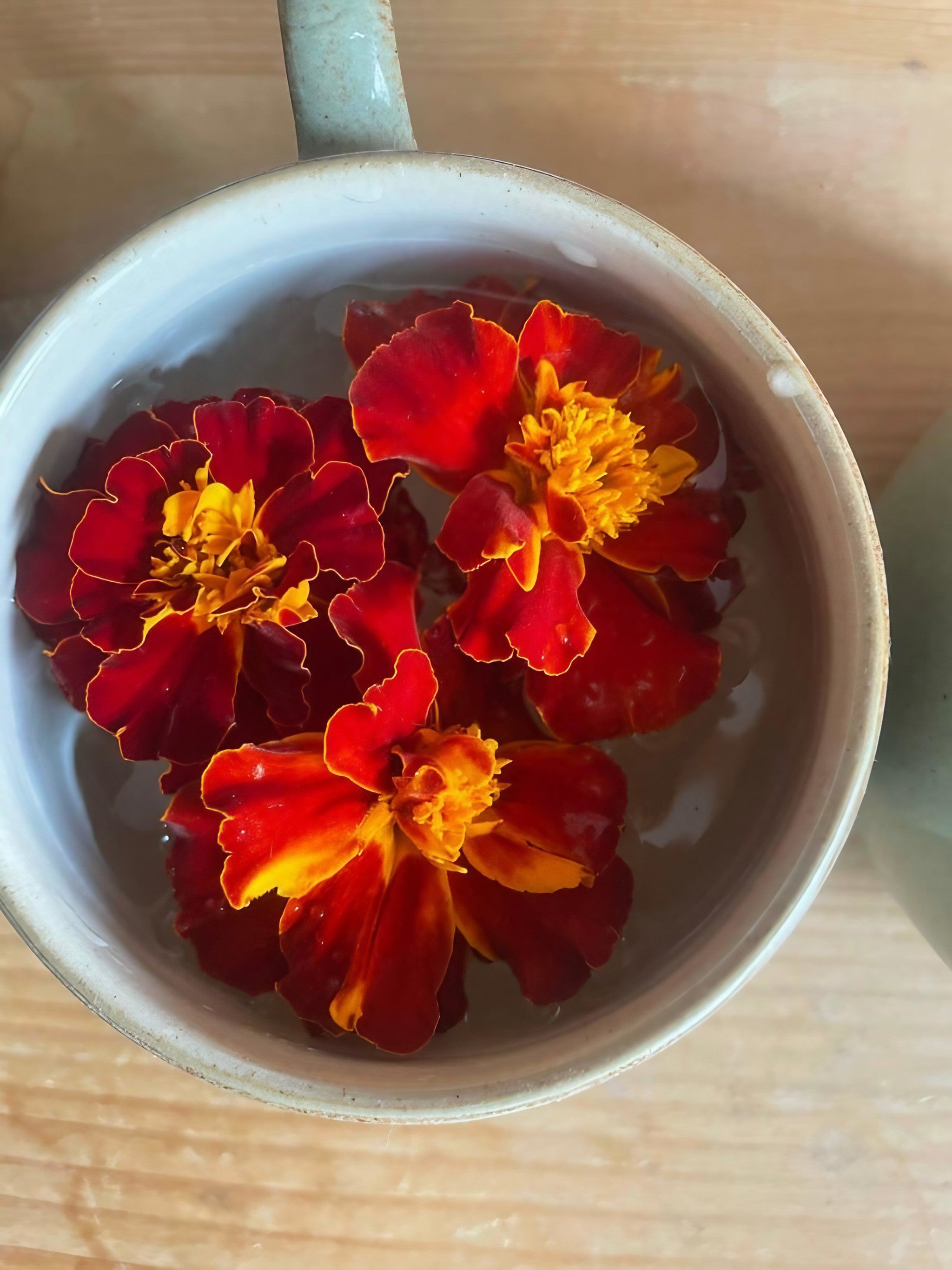French Marigold Red Cherry flowers floating in a clear water bowl