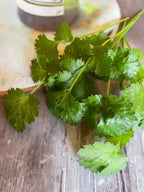 A small bunch of Coriander from Bishy Barnabees Cottage Garden Ltd, with fresh leaves and stems, sits on a rustic wooden surface next to a round, light-colored board.