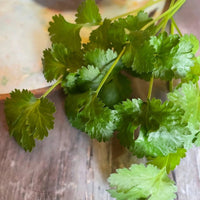 A small bunch of Coriander from Bishy Barnabees Cottage Garden Ltd, with fresh leaves and stems, sits on a rustic wooden surface next to a round, light-colored board.