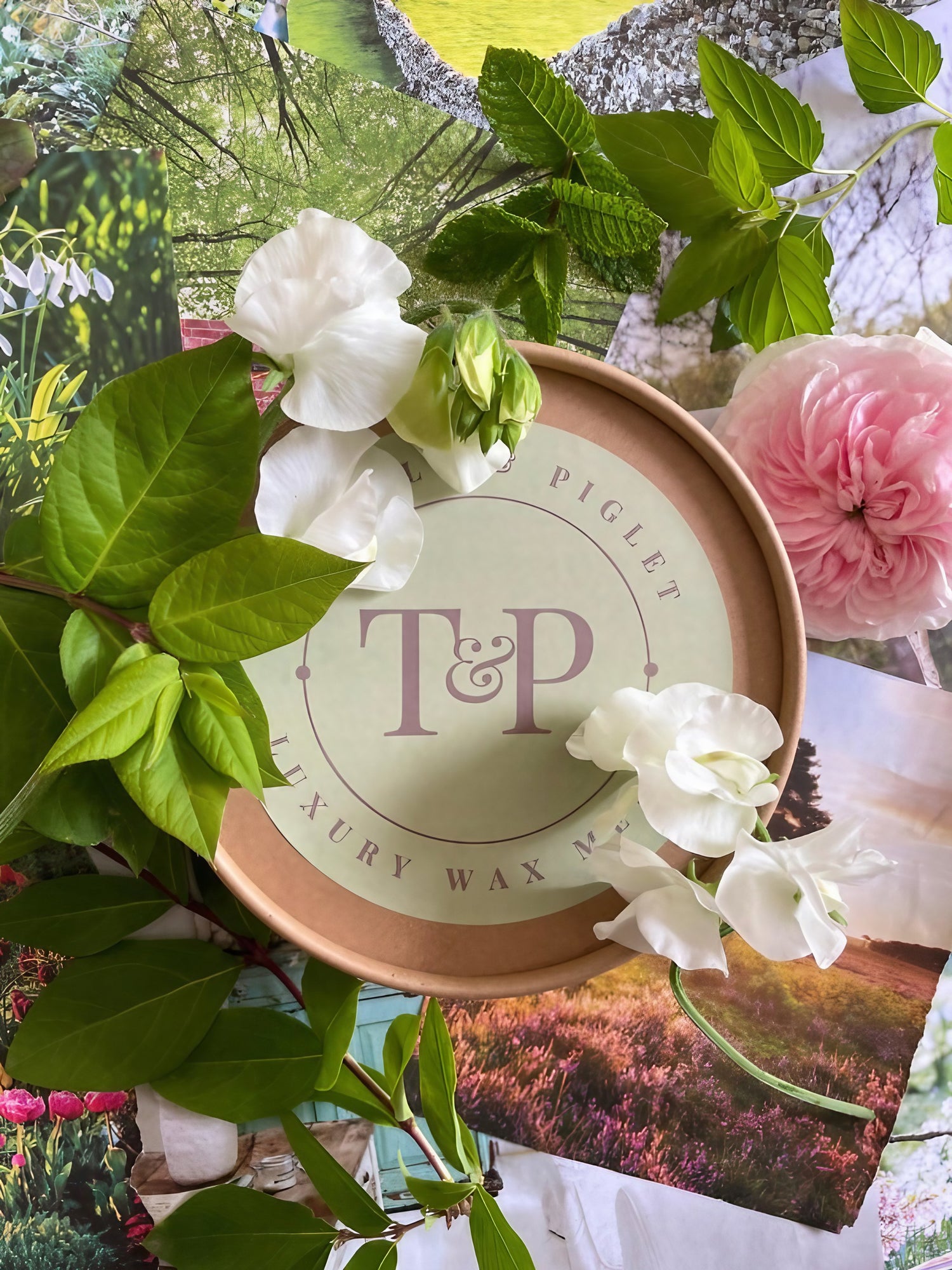 Luxury wax melts packaging surrounded by flowers and greenery, featuring T&amp;P Piglet branding.