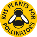 A yellow round badge with a black and white bee, encircled by "RHS PLANTS FOR POLLINATORS"—perfect for cottage garden fans growing Bishy Barnabees Cottage Garden Foxglove Alba White seeds.