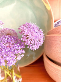 A close-up of light purple allium and Didiscus Madonna Mixed by Bishy Barnabees Cottage Garden in a glass vase, set before a green plate and beige bowls—perfect inspiration for elegant wedding bouquets.