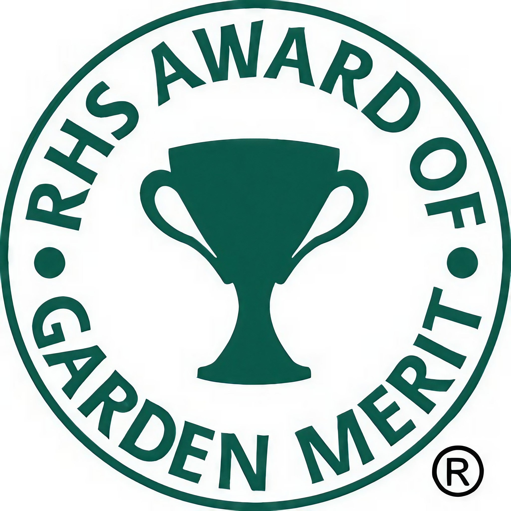 Cobaea scandens Purple with RHS Award of Garden Merit emblem