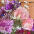 Pink and purple sweet peas with ruffled petals, showcasing a creamy background for a vibrant floral display.