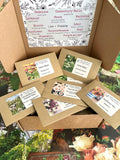 Floriography: The Little Box of Love by Bishy Barnabees Cottage Garden includes assorted flower seed packets, each labeled with its variety. A floral-patterned lid lists flower names and their meanings, celebrating the Language of Flowers.
