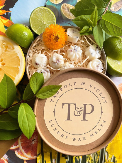 Uplifting Pure Essential Oil Botanical Wax Melts