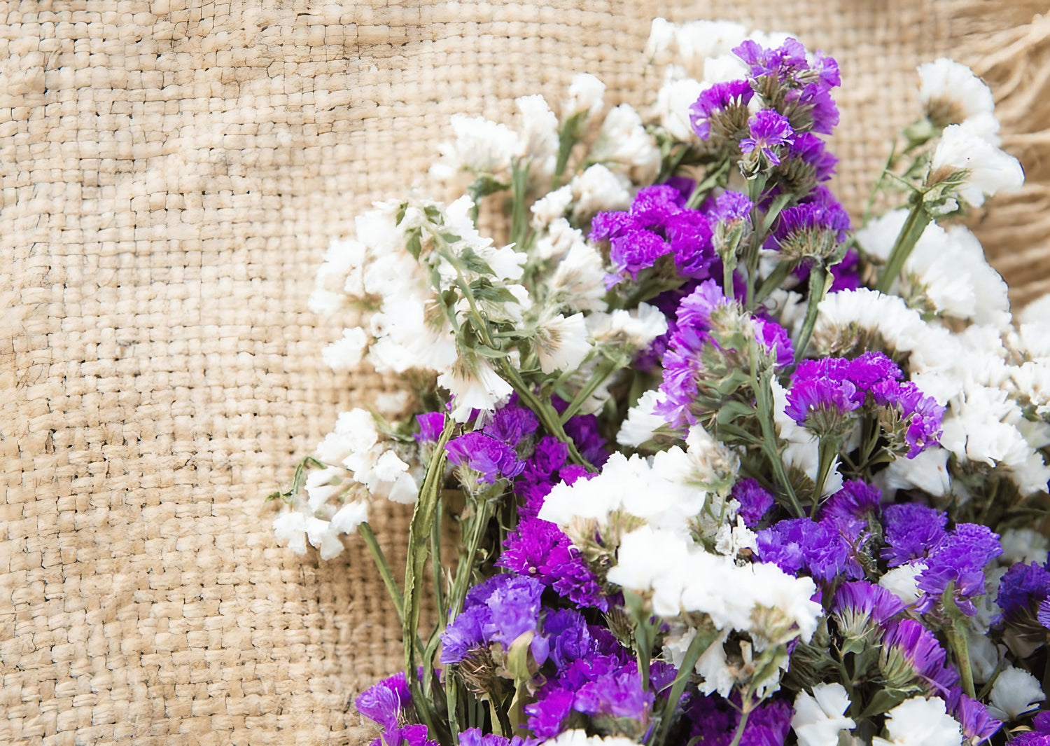 Statice Mixed flowers arranged on a burlap cloth, with a focus on the purple and white blooms