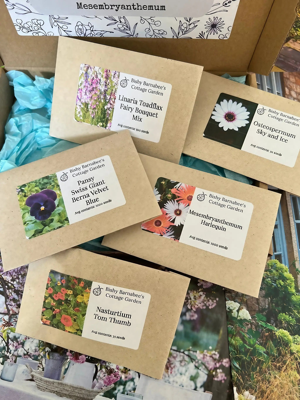 Six packets from Bishy Barnabees Cottage Garden's Patio Flower Garden Collection, with compact plants like Mesembryanthemum, Linaria Toadflax, and Cosmos, displayed on a table against a blue tissue-paper background.