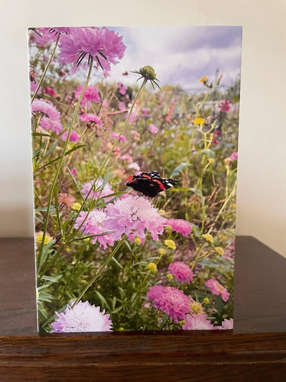 Greeting card featuring a butterfly on pink flowers in a vibrant garden setting.
