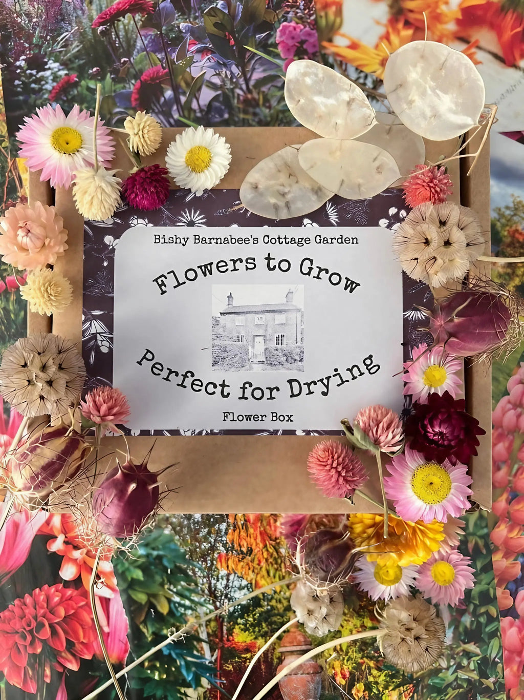 A flat lay of Bishy Barnabees Cottage Garden’s “Flowers to Grow - Perfect for Drying” box, illustrated with a cottage garden and surrounded by vibrant everlasting flowers—ideal for fans of sustainable decor.