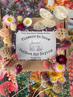 A flat lay of Bishy Barnabees Cottage Garden’s “Flowers to Grow - Perfect for Drying” box, illustrated with a cottage garden and surrounded by vibrant everlasting flowers—ideal for fans of sustainable decor.