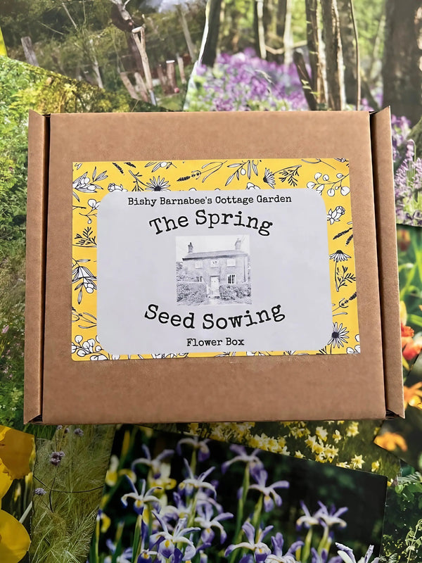 spring sowing flower seeds The Spring Seed Sowing Flower Box | 10 Packet Gift Set