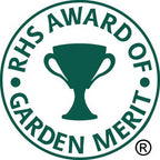 The green and white circular RHS Award of Garden Merit logo, featuring a central trophy, highlights Bishy Barnabees Cottage Garden's Echinops ritro Metallic Blue—ideal for bee-friendly plant enthusiasts.