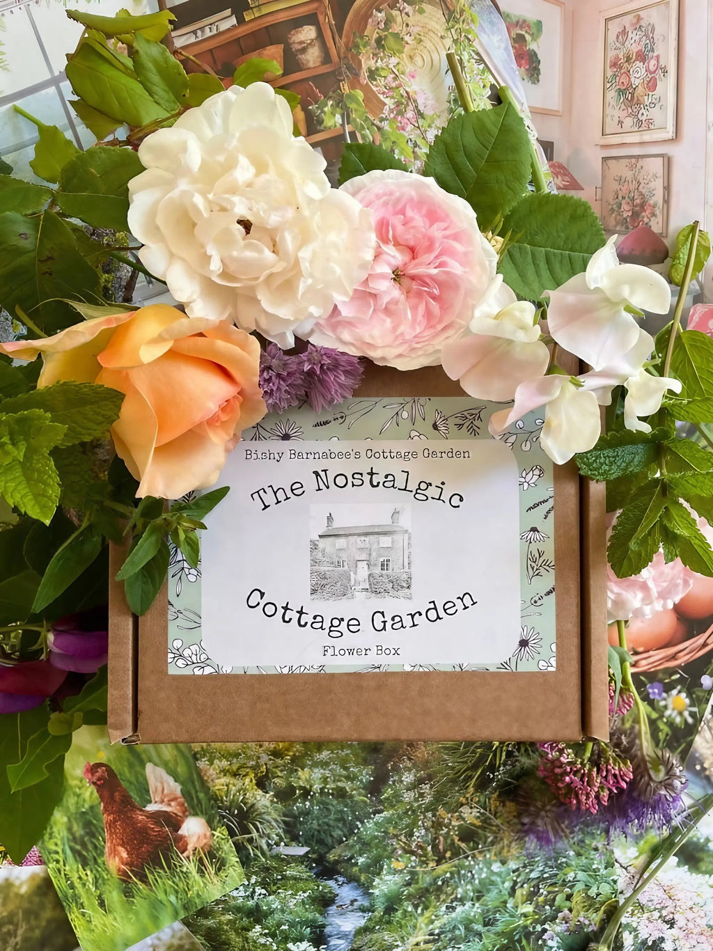 The Nostalgic Cottage Garden Flower Box - 12 Packs by Bishy Barnabees Cottage Garden is surrounded by fresh roses and greenery, with a backdrop of colorful British garden plants and charming cottage-inspired decor.