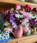 Sweet Pea Bishy Barnabee Mix (Lathyrus odoratus) – bunch in a pink jug on a shelf