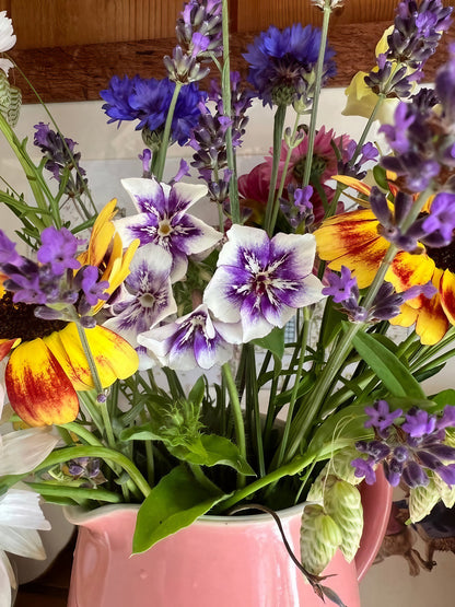 Colorful bouquet of flowers including purple, yellow, and white blooms in a pink vase.