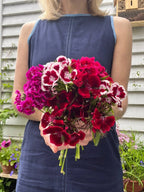 A person in a sleeveless blue dress holds a colorful bouquet featuring Bishy Barnabees Cottage Garden’s Sweet William Indian Carpet Mixed, standing by fragrant path edging before a light gray wooden wall.