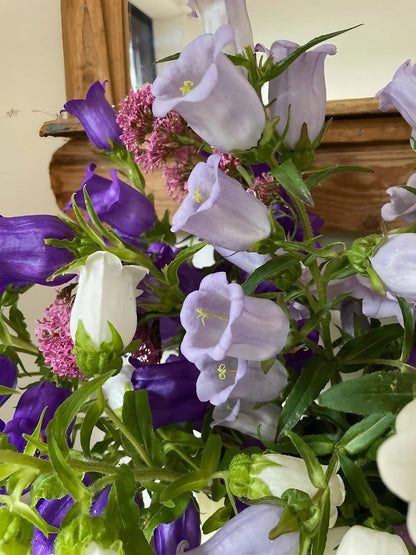 Vase with a fresh mix of white and purple Canterbury Bells flowers