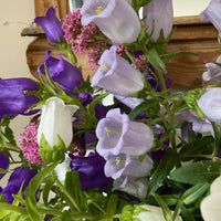 A close-up of Canterbury Bells Crown Single Mixed by Bishy Barnabees Cottage Garden Ltd shows light purple, white, and deep purple blooms with green leaves near wood—a charming cottage garden flower display.