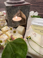 A lit tealight glows in the hand-carved Moroccan Arch Soapstone Wax Melt Burner by Bishy Barnabees Cottage Garden, next to lemongrass wax melts, labeled packaging, daisies, and leaves on wood for a natural, calming vibe.