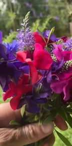 A hand holds The Sweet Pea Collection by Bishy Barnabees Cottage Garden, a bouquet of fresh, vibrant purple, red, and lavender blooms with green leaves, set against a softly blurred outdoor backdrop.