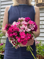 A person in a sleeveless blue dress holds a bouquet of Sweet William Auricula Eyed Mixed by Bishy Barnabees Cottage Garden, featuring pink, magenta, and white blooms with a gray wall and lush garden backdrop.