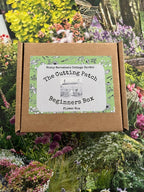 A cardboard box labeled "The Cutting Patch Beginners Flower Box" from Bishy Barnabees Cottage Garden sits on colorful floral backgrounds, featuring a green floral border and cottage illustration—ideal for beginner cut flower growers.