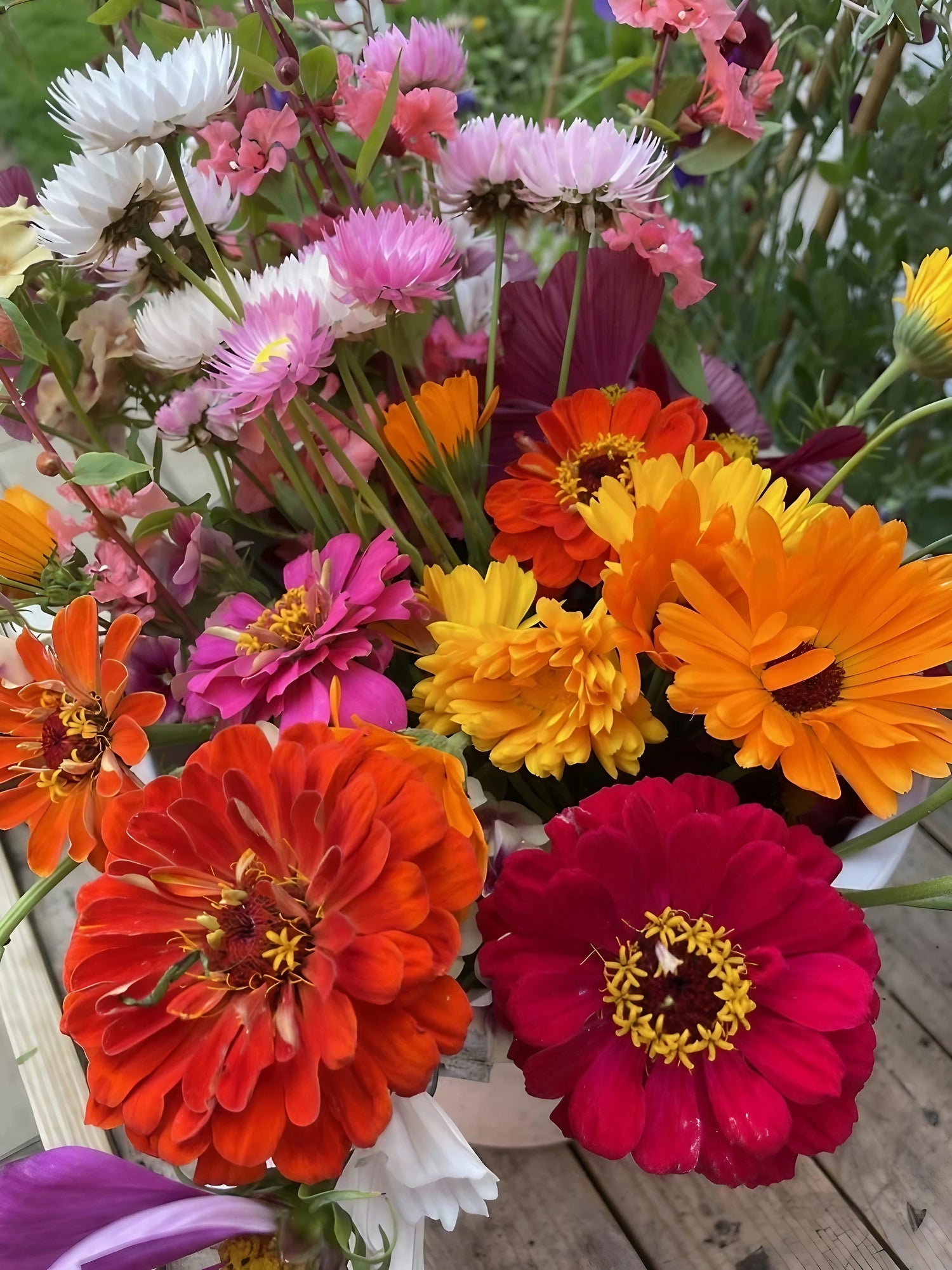 Assorted Zinnia Giants of California flowers arranged in a basket on a rustic wooden surface