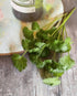 Fresh coriander leaves arranged neatly on a plate