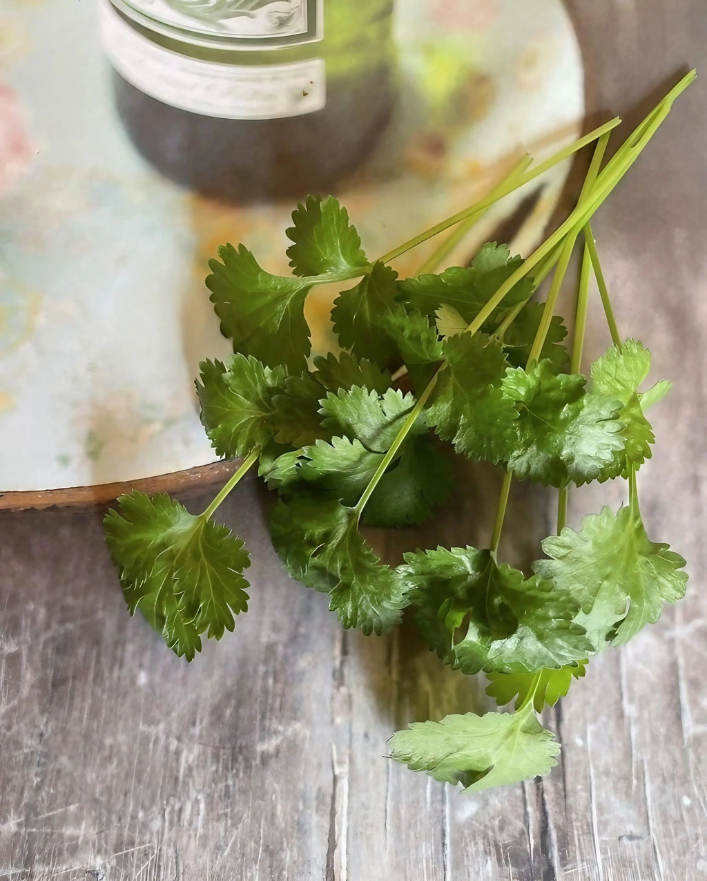 Coriander from Bishy Barnabees Cottage Garden Ltd rests on a rustic wooden surface beside a round, pastel plate and a glass container.