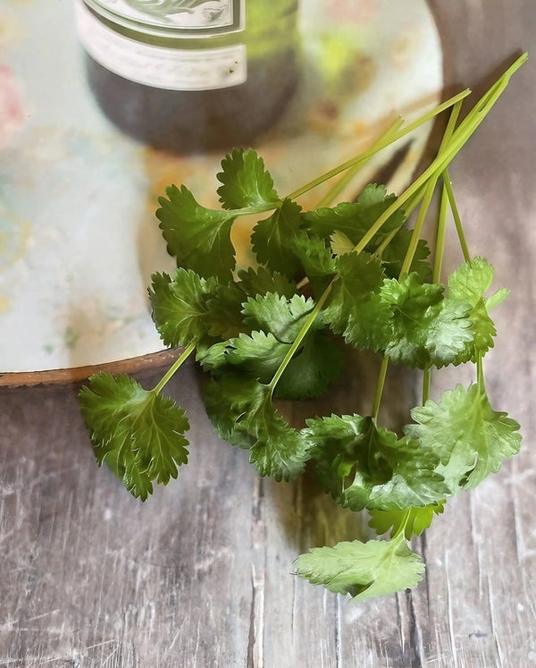 Coriander from Bishy Barnabees Cottage Garden Ltd rests on a rustic wooden surface beside a round, pastel plate and a glass container.