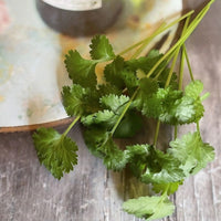 Coriander from Bishy Barnabees Cottage Garden Ltd rests on a rustic wooden surface beside a round, pastel plate and a glass container.
