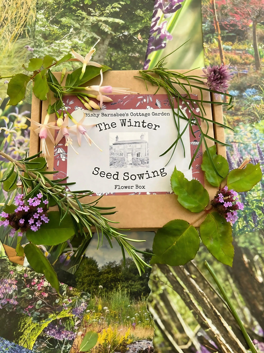 The Winter Seed Sowing Flower Box among fresh flowers and greenery on garden photos