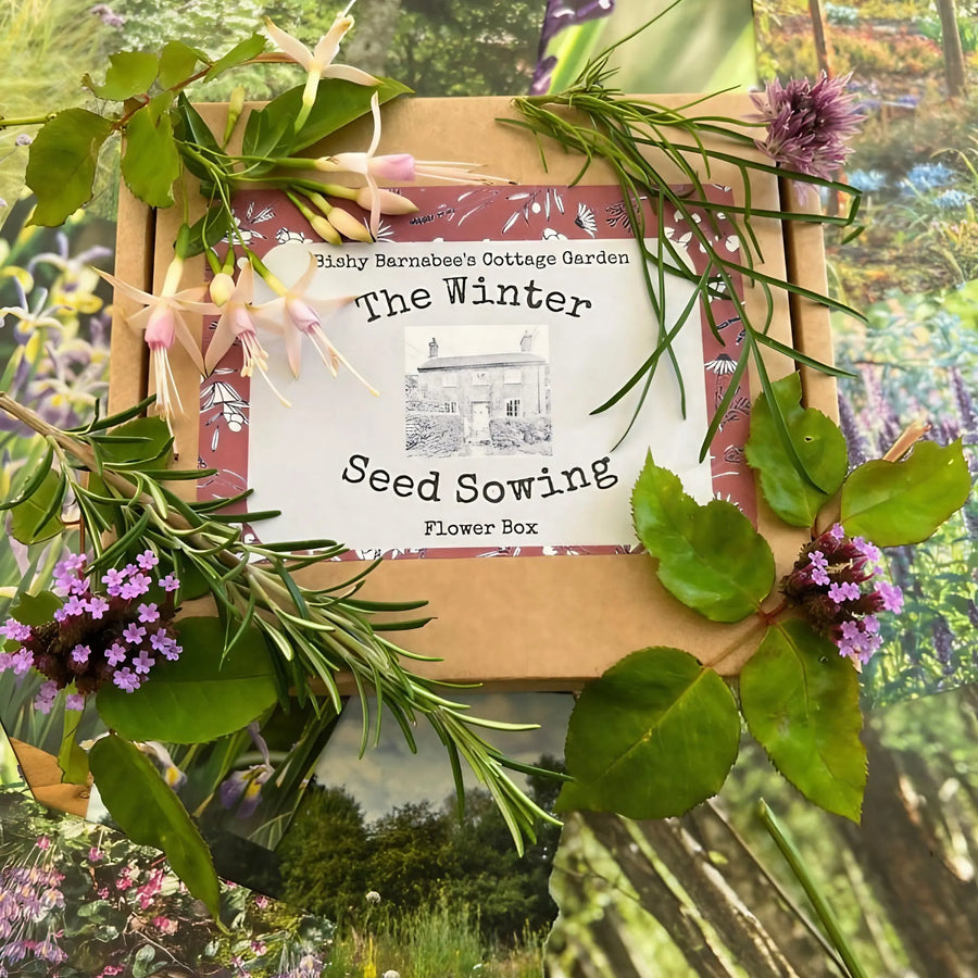 The Winter Seed Sowing Flower Box by Bishy Barnabees Cottage Garden sits among fresh flowers and greenery on vibrant garden-themed backgrounds—ideal for winter seed sowing and effective stratification.